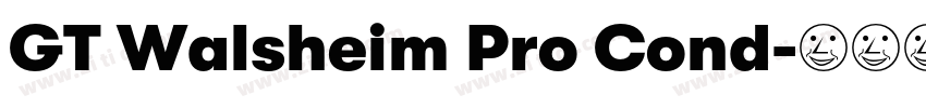 GT Walsheim Pro Cond字体转换